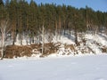 Siberia, forest near station Olha Royalty Free Stock Photo
