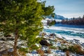 Siberia in winter. Snow-covered mountain valley, blue sky, coniferous trees, picturesque, powerful Katun river. Magnificent winter