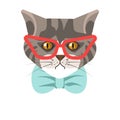 Siberian cat with red glasses and blue tie portrait