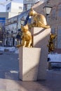 The Siberian cats square Tyumen,March 18, 2016 Royalty Free Stock Photo