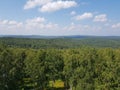 Siberian coniferous forests under the blue sky