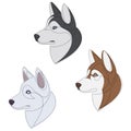 Siberian different husky colors set. Dog portrait collection. Dog continuous line drawing. Vector illustration