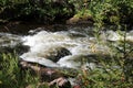 Siberian forest. Running river. Taiga. Baikal. Birch forest. Royalty Free Stock Photo