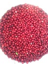 Siberian foxberry, Natural source of vitamin C