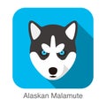 Siberian Husky baby`s face, Alaskan Malamute vector illustrator