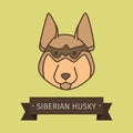 Siberian husky breed dog for logo Royalty Free Stock Photo