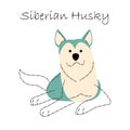 Siberian Husky . Cute dog cartoon characters . Flat shape and line stroke design .