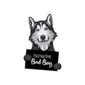 Siberian husky dog Bad boy. Dog prison. Police mugshot background. Husky criminal. Vector.