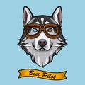 Siberian husky dog pilot. Aviators glasses. Pilot glasses. Vector.