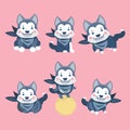 Siberian husky dog set. Royalty Free Stock Photo