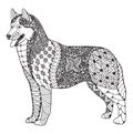 Siberian husky dog zentangle stylized, vector, illustration, freehand pencil, hand drawn, pattern. Zen art. Black and white illus