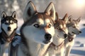 Siberian husky dogs in the winter forest. 3D rendering