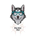 Siberian Husky geek. Smart glasses. Dog nerd. Husky portrait. Vector.