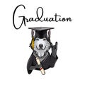 Siberian Husky graduate. Dog with diploma and graduate s cap. Vector illustration. Royalty Free Stock Photo