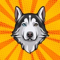 Siberian Husky head. Dog portrait. Dog breed. Vector illustration. Royalty Free Stock Photo