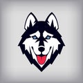 Siberian husky head logo or icon. Good-natured dog shows its tongue.