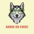 Siberian Husky nerd. Sart glasses. Dog geek. Husky portrait. Geek is chic. Vector.