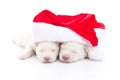 Siberian husky puppy in Santa Claus xmas red hat on white background Royalty Free Stock Photo