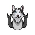 Siberian Husky with rock gesture, horns. Vector illustration. Royalty Free Stock Photo