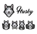 Siberian Husky. Rock gesture, middle finger, muscles, bone, horns. Vector. Royalty Free Stock Photo