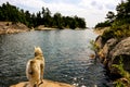 Siberian Husky on the shores of lake looking very majestic Royalty Free Stock Photo