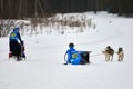 Siberian Husky sled dog racing. Musher falls off sled Royalty Free Stock Photo