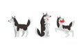 Siberian Husky Standing on Hind Legs and Playing Vector Set