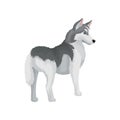 Siberian husky standing isolated on white background, back view. Medium size dog with gray coat. Flat vector icon