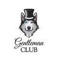 Siberian husky. Top head. Dog gentleman. Vector illustration. Dog portrait. Royalty Free Stock Photo