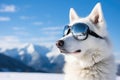 siberian husky in winter scenery, wearing ski goggles instead of sunglasses