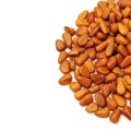 Siberian pine nuts Royalty Free Stock Photo