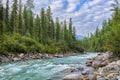 Siberian rivulet in foothill taiga Royalty Free Stock Photo