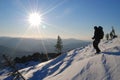 Siberian taiga, winter Russia, sun, winter fresh