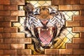 Siberian tiger in cage Royalty Free Stock Photo