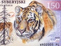 Siberian tiger a portrait from money