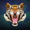 Growl siberian tiger vector Royalty Free Stock Photo