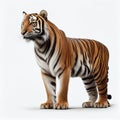 Siberian Tiger isolated on white background. Side view. Generative AI Royalty Free Stock Photo