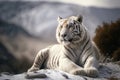 Siberian Tiger sitting on a snowy hill, generative AI Royalty Free Stock Photo