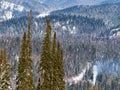 Siberian winter landscape. View of the valley. Huge coniferous taiga