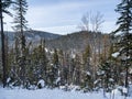 Siberian winter landscape. View of the valley. Huge coniferous taiga