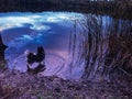 Sibirian husky in blue magenta water with nice reflection