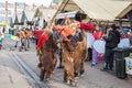 Romanian christmas traditional customs Royalty Free Stock Photo