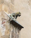 Gargoyle statue on the facade of Lutheran Cathedral of Saint Mary. Sibiu city in Romania