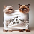 Sibling Persian Cats In a Get Along Shirt