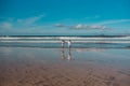 Siblings playing on beach, running, skipping in water. Smilling girl and boy on sandy beach of Canary islands. Concept Royalty Free Stock Photo