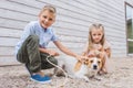 siblings playing with dog at animals shelter and choosing Royalty Free Stock Photo