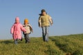 Siblings Walking On A Meadow Royalty Free Stock Photo