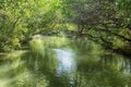 Sicao Mangrove Green Tunnel