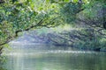 Sicao Mangrove Green Tunnel,famous attractions in Tainan Taiwan,Small Amazon in Taiwan