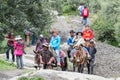 SICHUAN, CHINA - JUL 24 2014: Special Horse Caravan at Yading Na